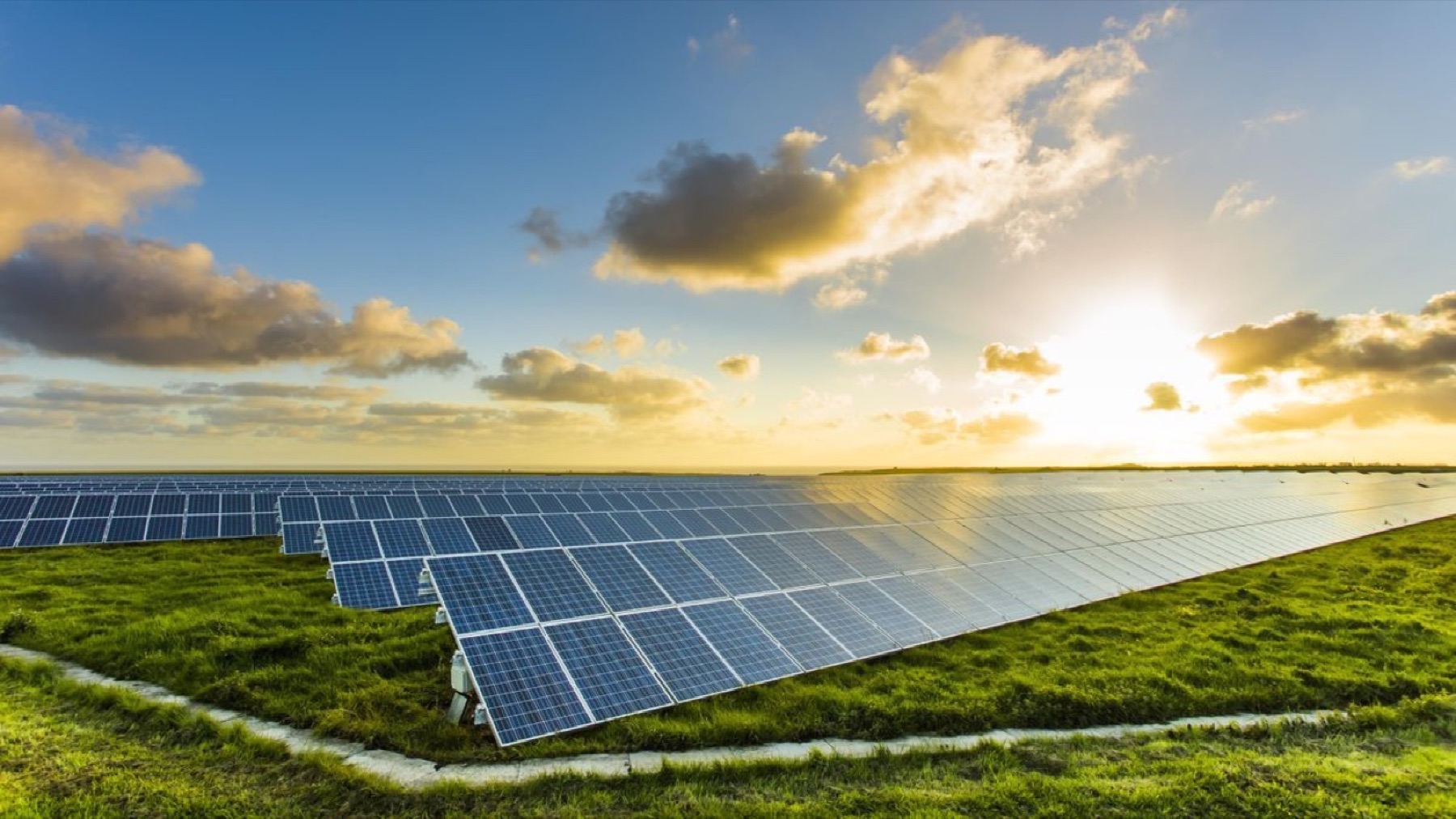 1.5 MW on-site solar power plant powering Ecofy's molded fiber facility
