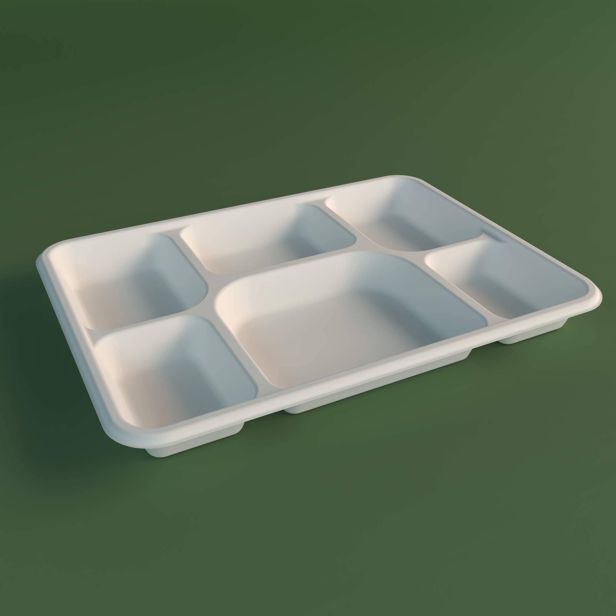 6CP Bagasse Meal Tray