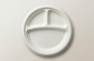 10" 3CP Bagasse Compartment Plate