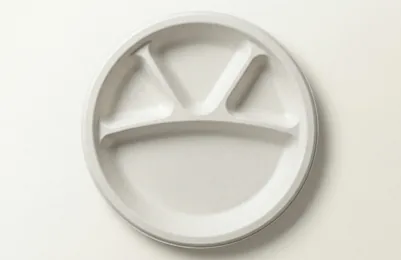 11" 4CP Bagasse Compartment Plate