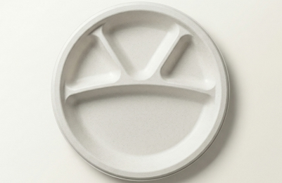12" 4CP Bagasse Compartment Plate