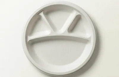 12" 4CP Bagasse Compartment Plate