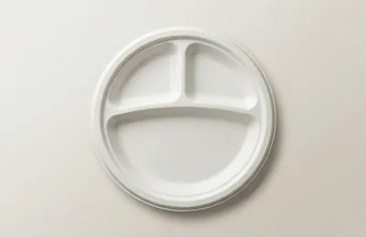 9" 3CP Compartment Plate