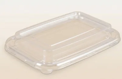PET lids , compostable bagasse tableware