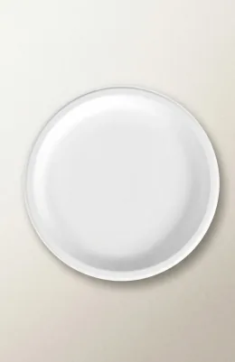 10" Round Bagasse Plate