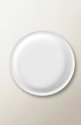 Bagasse plates , compostable bagasse tableware