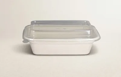 Takeaway containers , compostable bagasse tableware