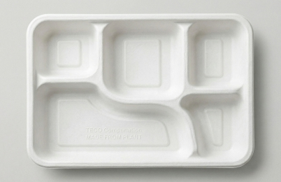 5CP School Tray