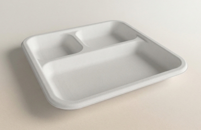 6CP Tray