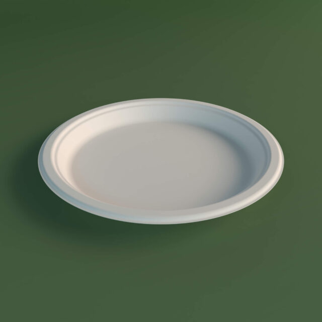 10 Inch Round Plate Exim