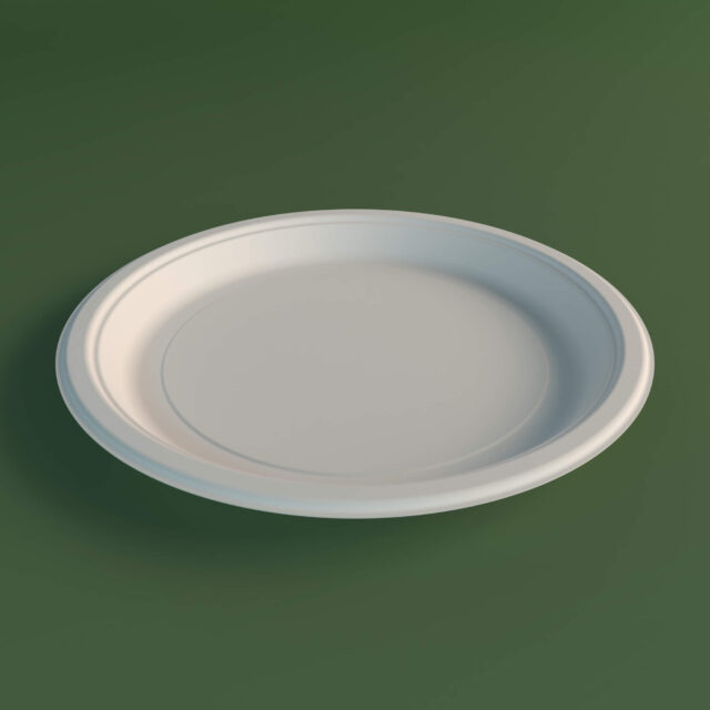 11 Inch Round Plate Eximius R2