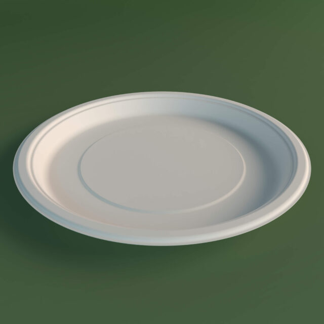 12 Inch Round Plate
