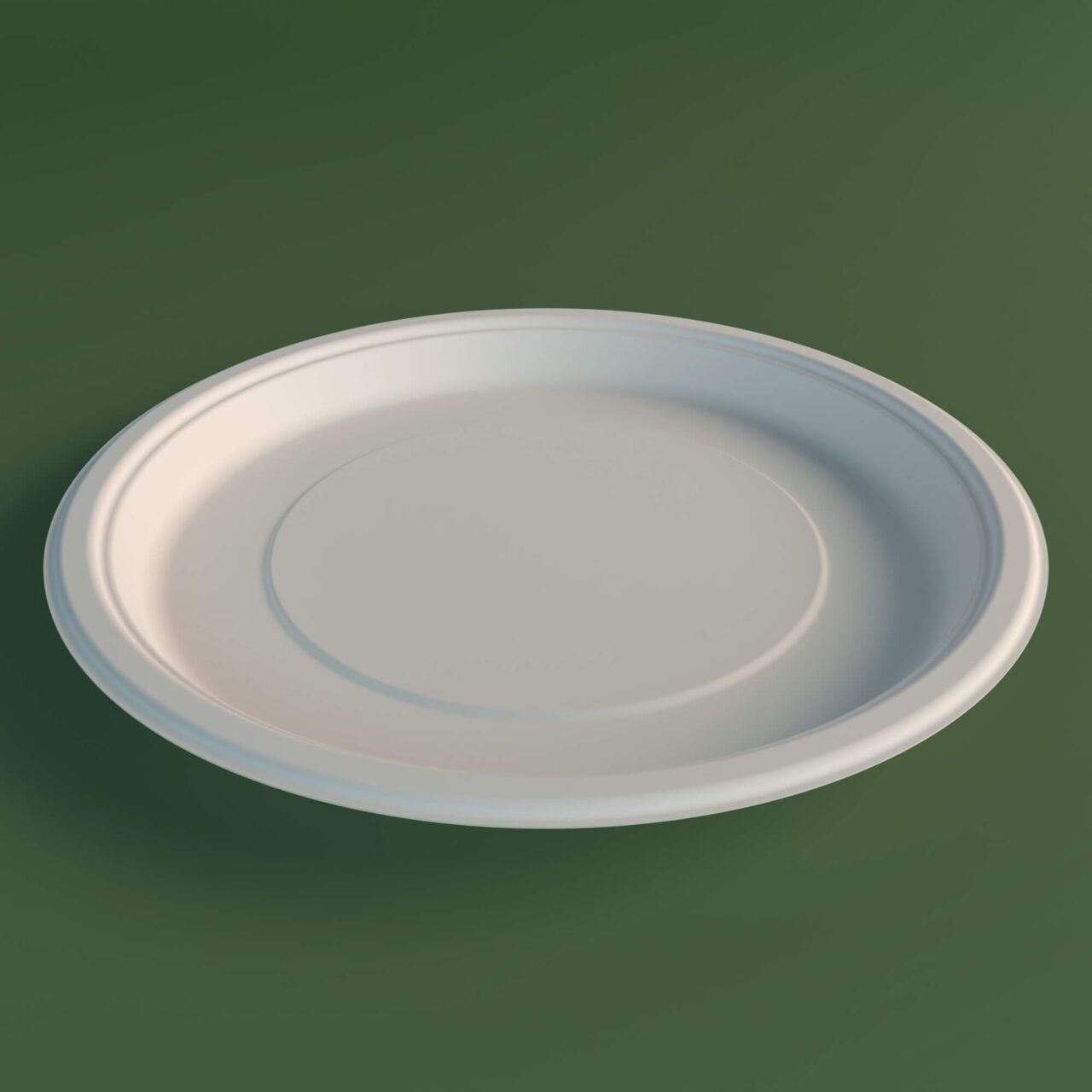 19_12 Inch Round Plate