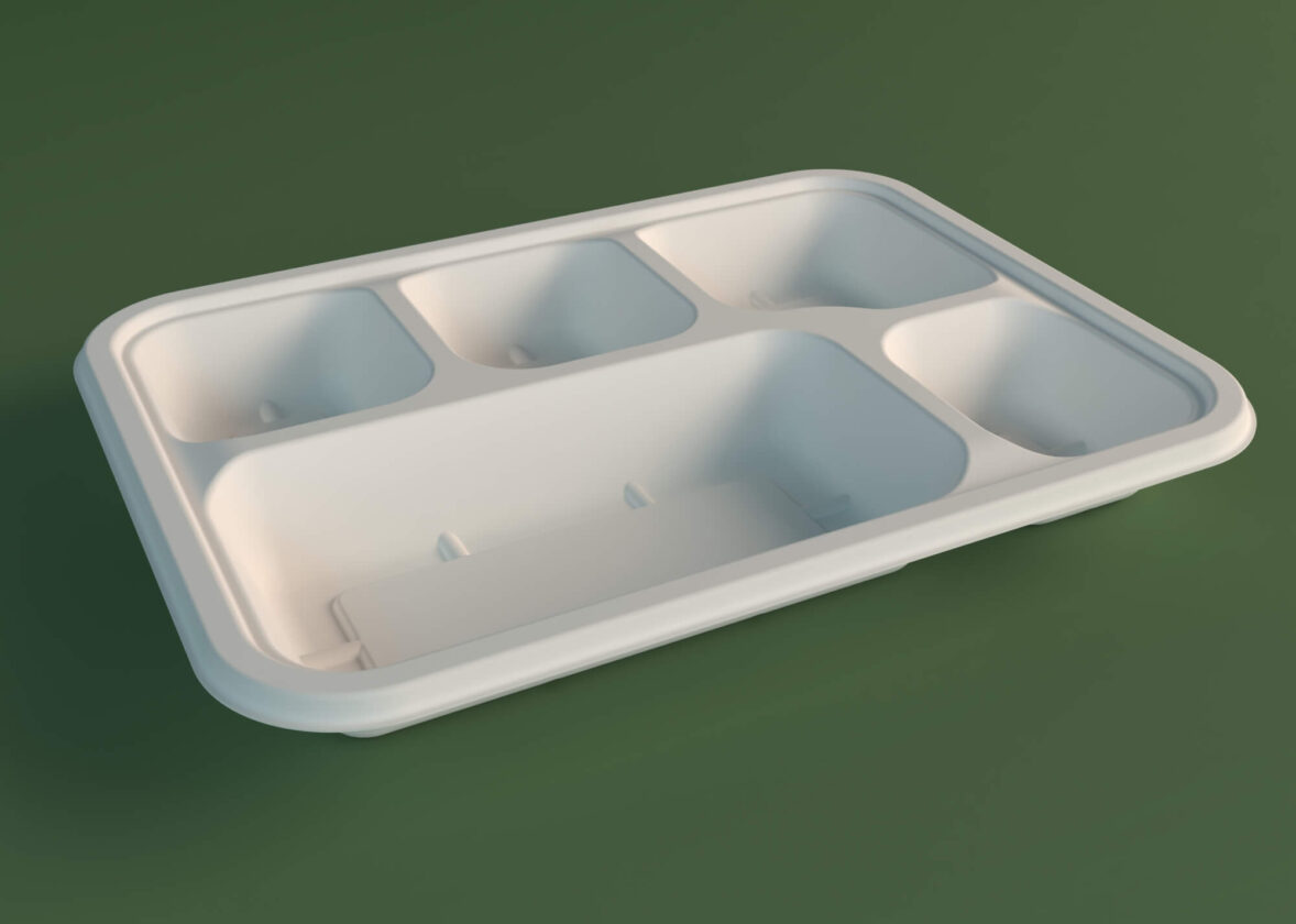 5CP School Tray