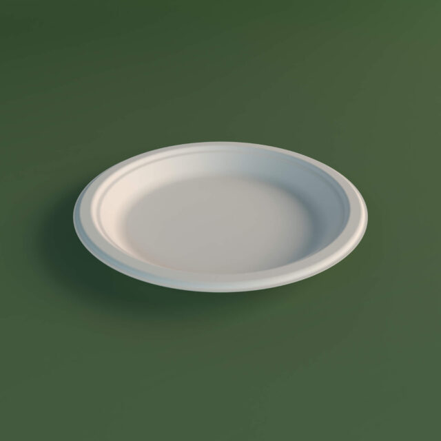 9 Inch Round Plate R01 Exim